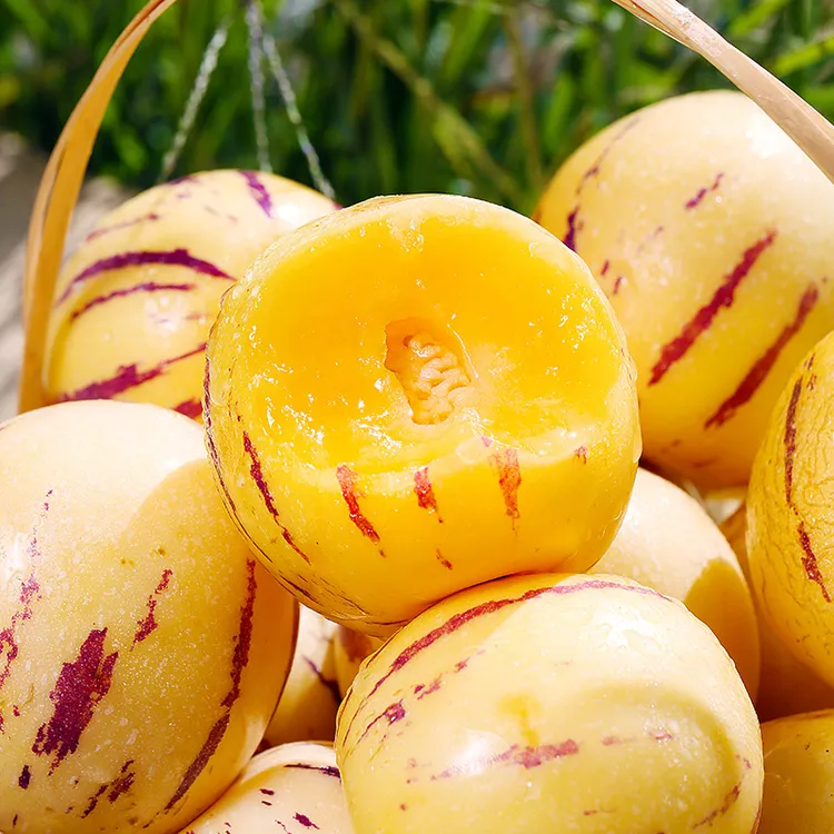 思珺儿云南树熟人参果皮薄多汁新鲜采摘清甜香甜