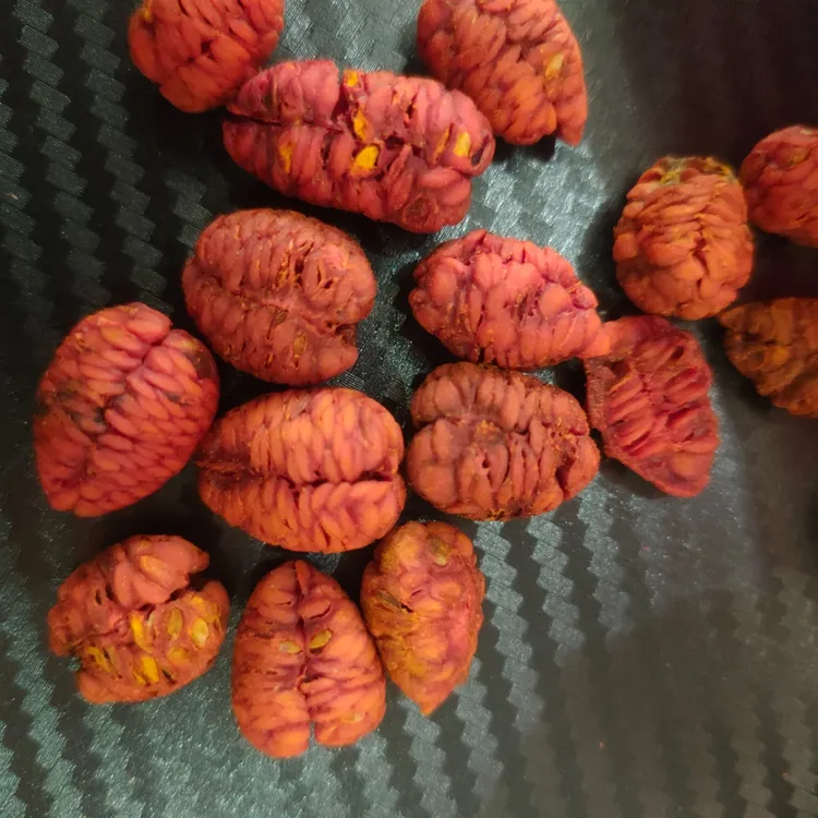 高山甄选龙麟果山货干货   y