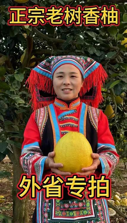 正宗精品老树香柚