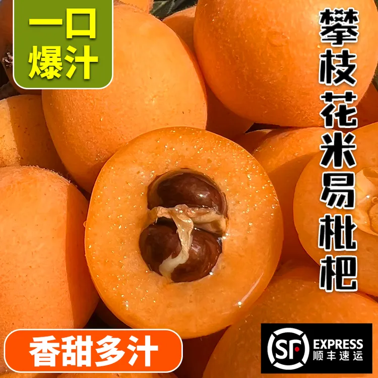【顺丰包邮】四川攀枝花米易早春枇杷鲜果皮薄多汁香甜新鲜应季水果