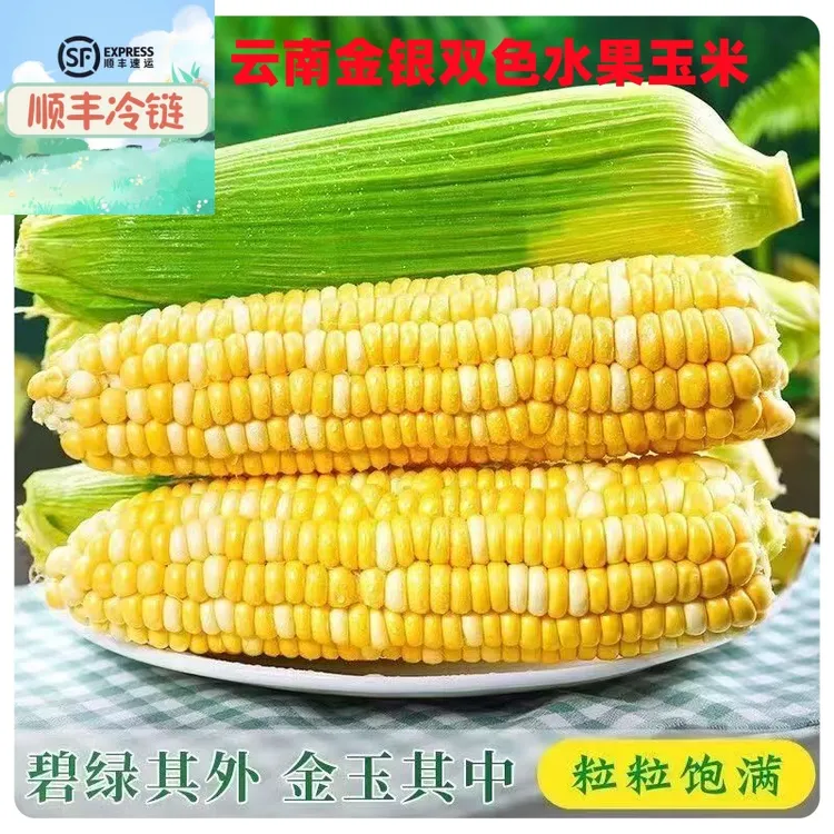 【顺丰冷链发货】云南当季新鲜蔬菜水果甜玉米农家现摘水果玉米