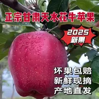 [果园直发]甘肃天水花牛苹果当季新鲜水果脆粉两吃整箱包邮