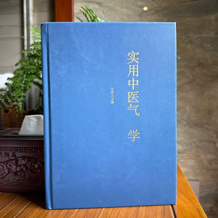 【精装】实用中医学 马济人 大开本针灸大全