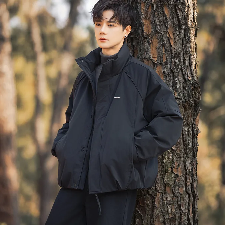 短款立领羽绒服男士冬季加厚2025新款高级感休闲工装夹克鸭绒外套