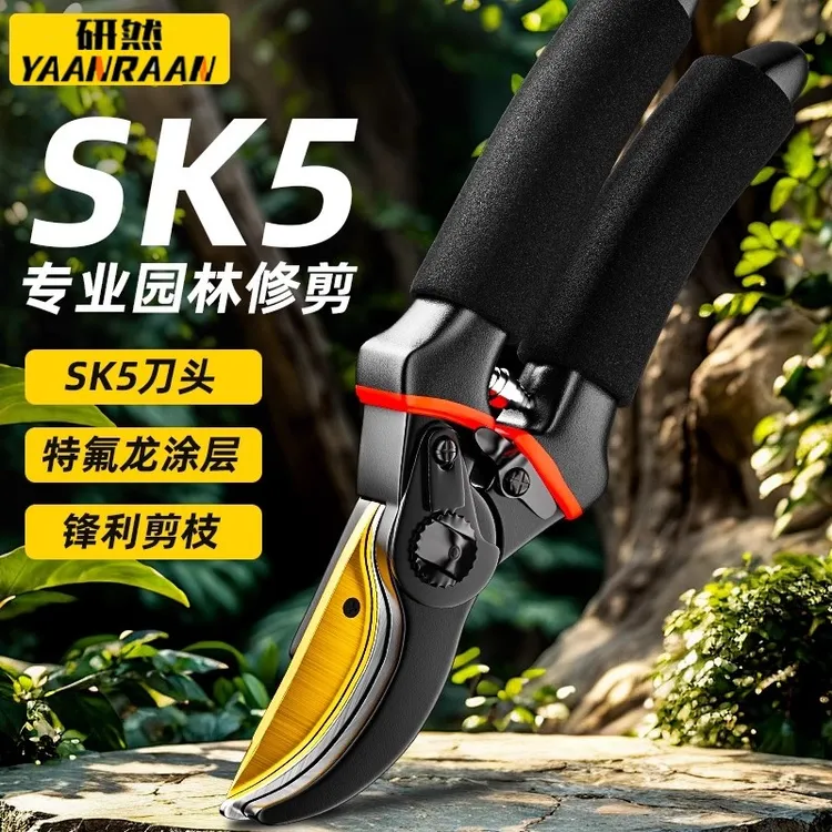 SK5园艺剪修剪枝果树树篱笆剪子专用花艺修枝园林摘水果锋利树木