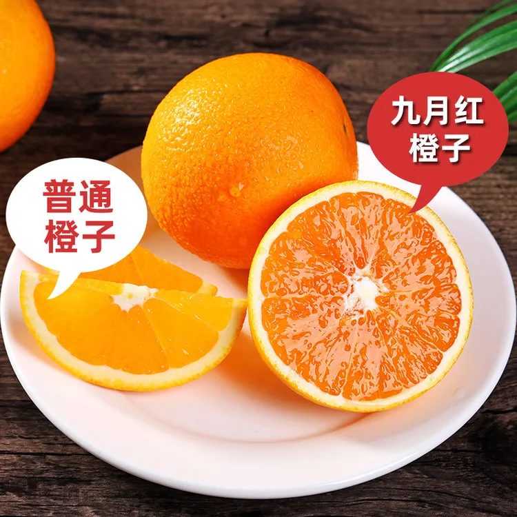 橙子秭归九月红果冻橙天然爆汁当季新鲜采摘原产地直发细嫩化渣