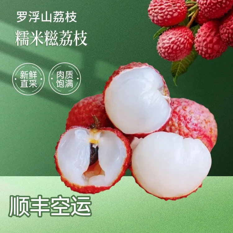 【产地直发】老树糯米糍荔枝广东罗浮山荔枝爆汁5斤3斤顺丰冷链桂味