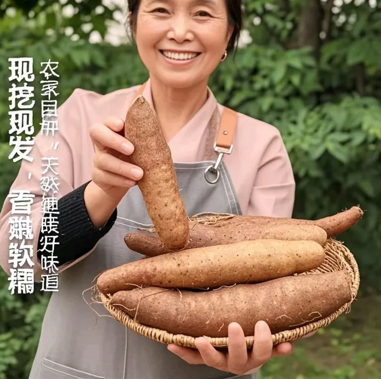 新鲜现挖云南灵芝山软面山药非铁棍山药秤砣山药淮山药