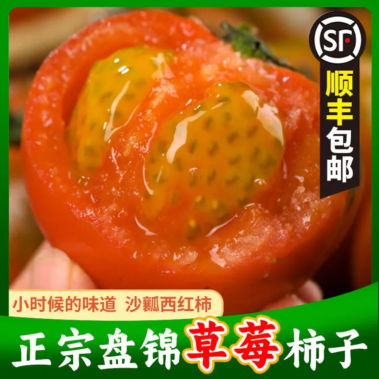 顺丰包邮盘锦精品中大果番茄铁皮西红柿不升糖基地直发碱地柿子