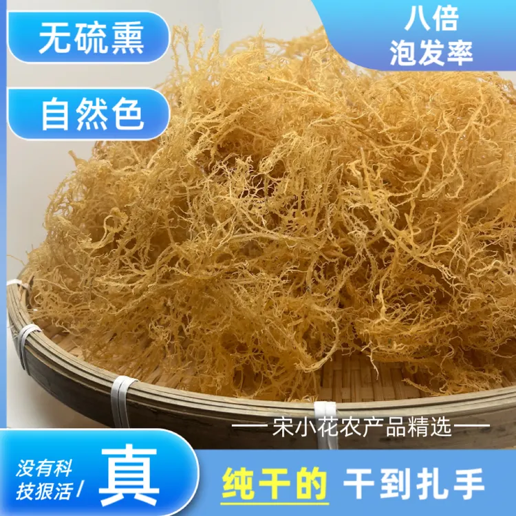 【纯干龙须菜】干到扎手龙须菜鹿角菜石花菜凉拌菜海藻干货批发商用