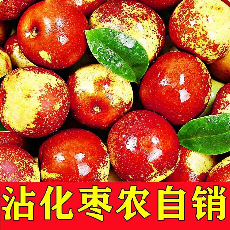 山东沾化冰糖冬枣新鲜现摘应季水果皮薄脆甜