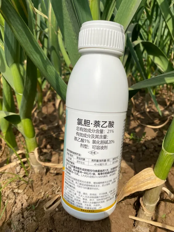 21%录胆奈乙酸.地下作物大蒜..大姜.洋葱.土豆膨大剂.膨大不空