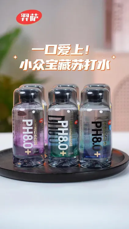 羿萨天然弱碱性无糖苏打水（原水口感和矿泉水差不多介意勿拍）