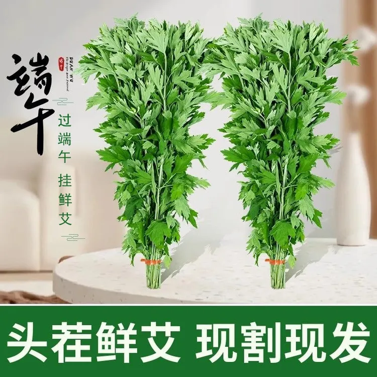 新鲜艾草菖蒲端午节艾草挂件驱蚊驱虫天然清香整颗挂窗家用佳品