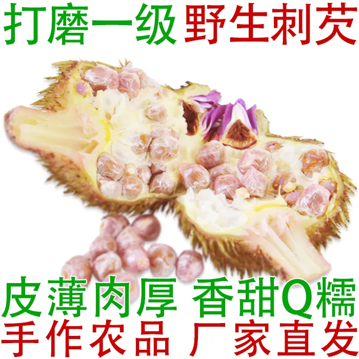 【丽丽】野生刺芡25年新鲜带壳鸡头果芡实 打磨一级鲜果10-11mm鸡头米包邮