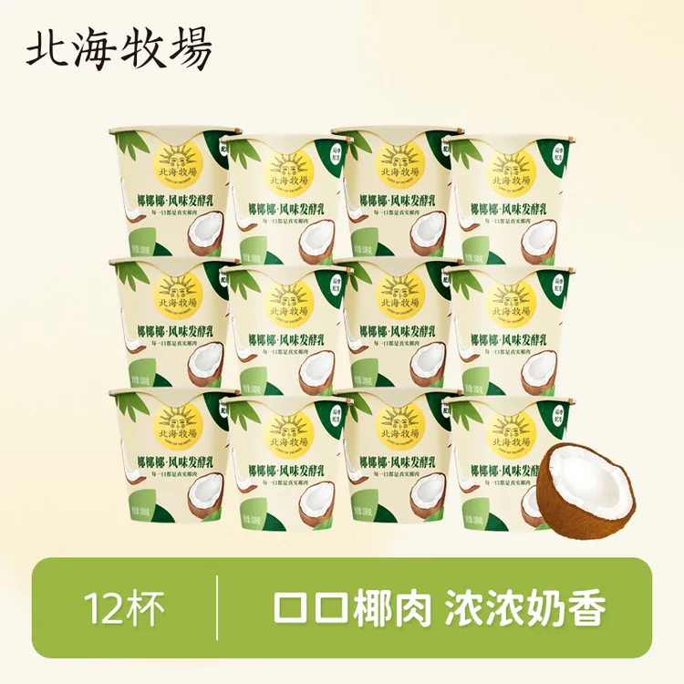 北海牧场 新品酸奶椰椰椰100g*12杯营养早餐代餐真实果粒简单配方