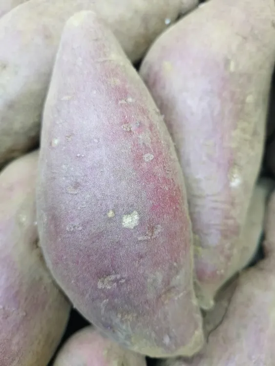 山地蜜薯榴莲软糯红薯香甜网红地瓜热销西瓜红烟薯香薯