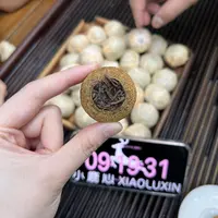 新会小青柑  小鹿收茶 新会柑普 熟普里料  9月17