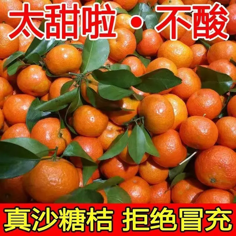 正宗广西新鲜沙糖桔皮薄味甜薄皮沙糖桔