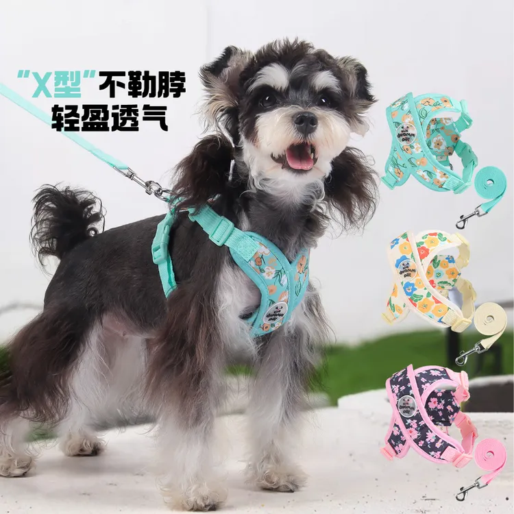 狗狗牵引绳中小型犬专用比熊泰迪狗绳牵引绳舒适不勒脖宠物胸背带