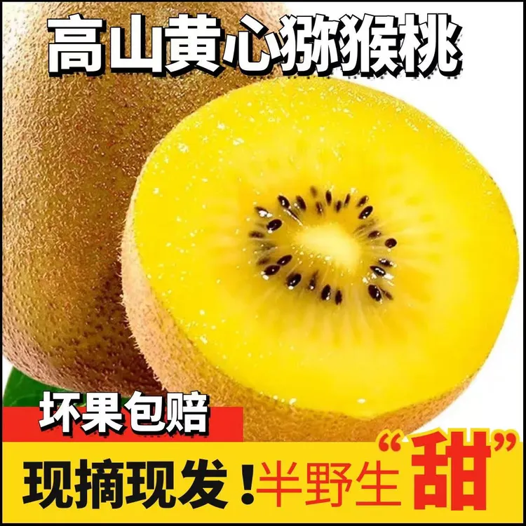 黄心猕猴桃奇异果当季新鲜现摘孕妇水果香甜多汁高山水果