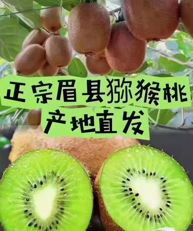 陕西眉县徐香猕猴桃新鲜绿心奇异果当季水果香甜多汁