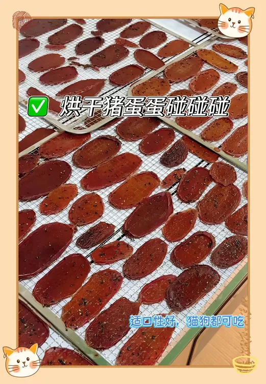 【猪蛋蛋】犬猫通用磨牙洁齿猪蛋蛋零食+10g试吃