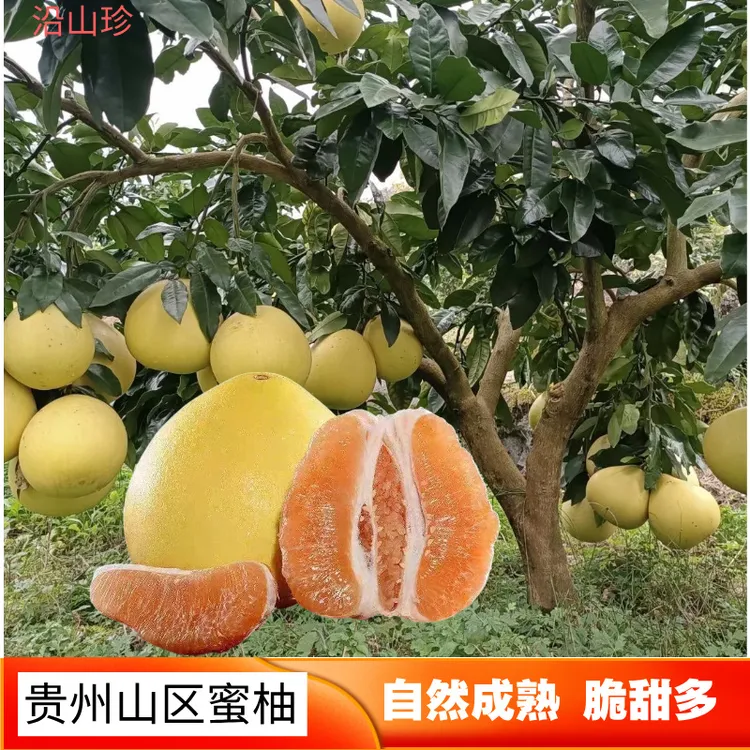 ( 7斤左右、1-2个)贵州农村柚子当季新鲜多汁黄肉黄金蜜柚大果柚子