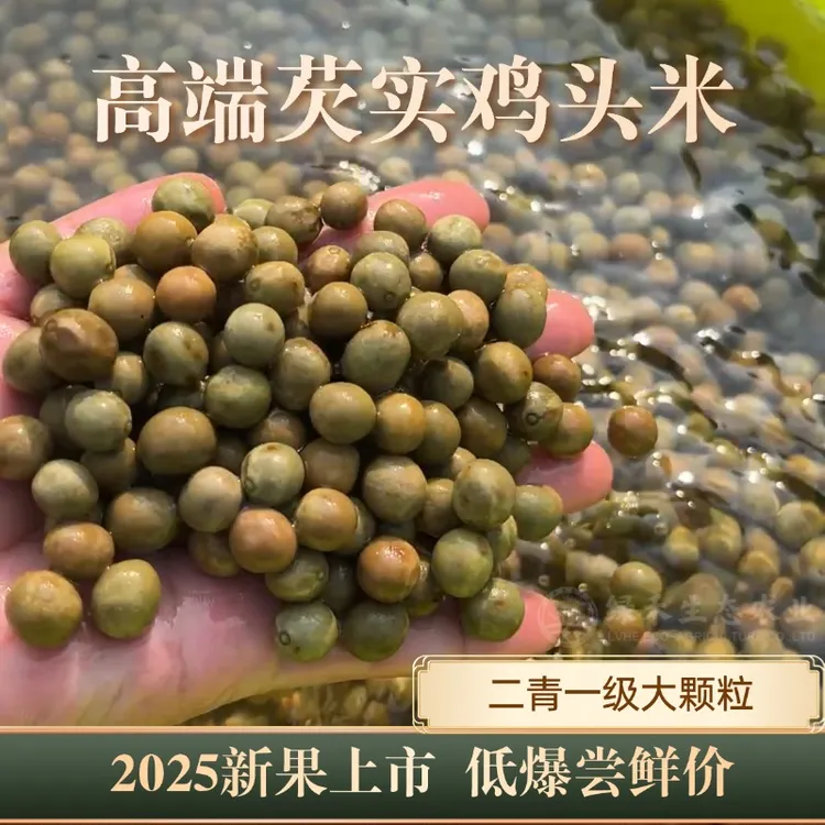 2025新鲜带壳鸡头米鸡头果新货芡实鲜芡实人工采摘鸡头米新鲜特级