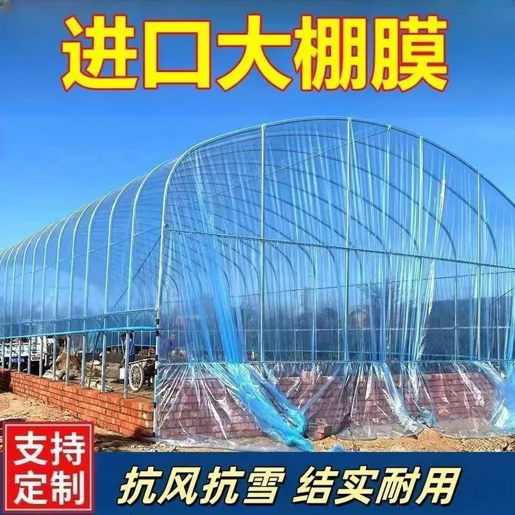 【国标正品 直播 蓝膜 】大棚塑料膜无滴透明保温薄膜适用蔬菜养殖
