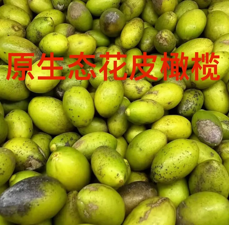 潮汕特产新鲜花皮橄榄可生吃腌制煲汤的水果橄榄果中秋必备橄榄