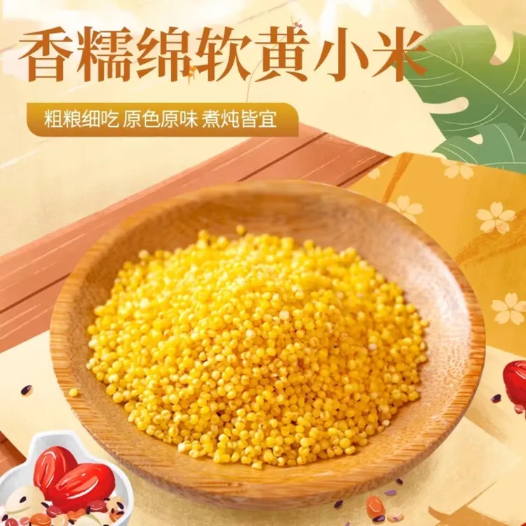 内蒙敖汉旗大金苗5斤黄小米带胚芽营养丰富熬粥佳品