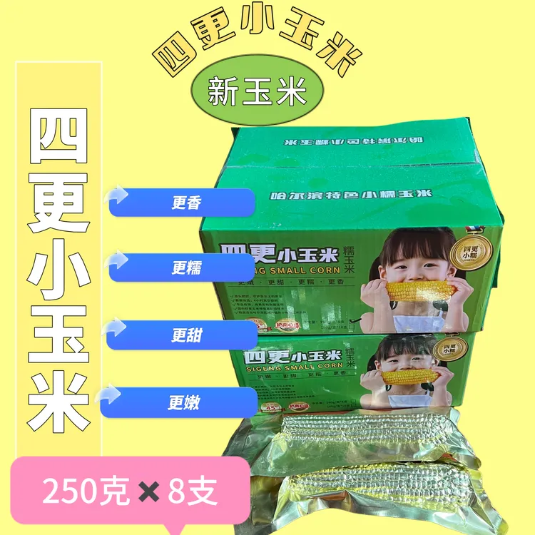 头茬东北黄糯玉米软糯香甜铝箔包装产地直发东北糯玉米四更小玉米
