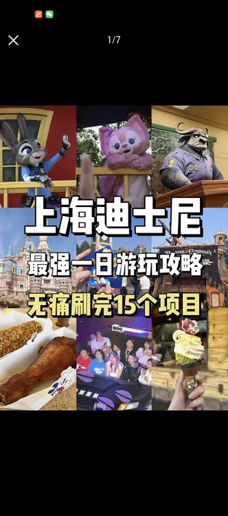 迪士尼 八大主题免排队＋导游一对一陪同＋花车巡游＋烟花位置前排