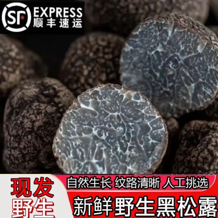 【升级发货】云南黑松露野生新鲜猪拱菌菌菇煲汤养生食材顺丰空运