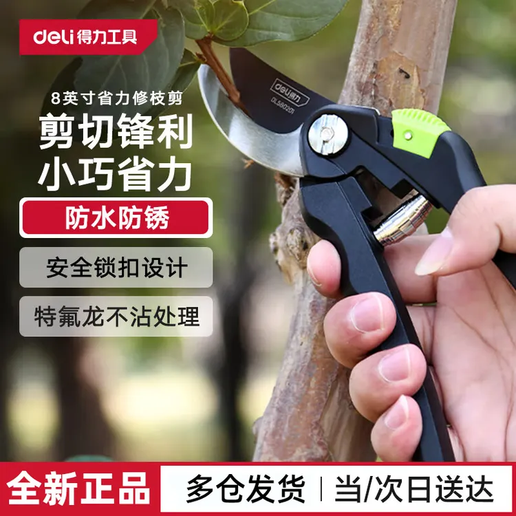得力修枝剪刀树枝剪果树剪花枝剪盆栽花卉园林园艺剪刀修枝神器