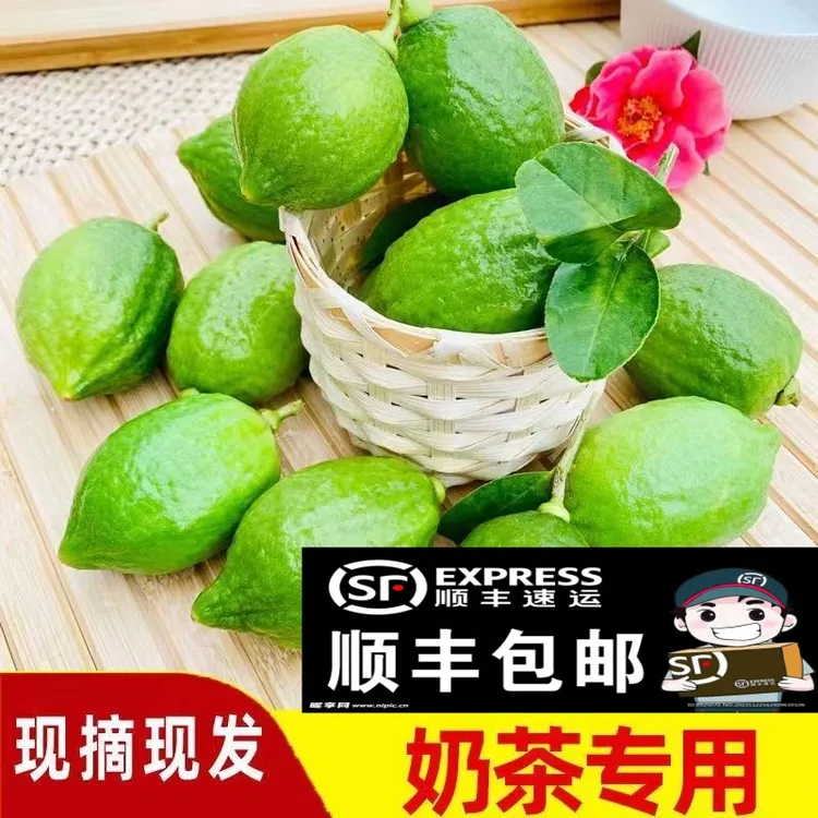 【大果园现摘】顺丰包邮广东香水柠檬新鲜现摘果一级果奶茶店专用