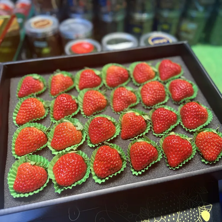 丹东99草莓东港大九九牛奶奶油红颜草莓水果99当季礼盒新鲜