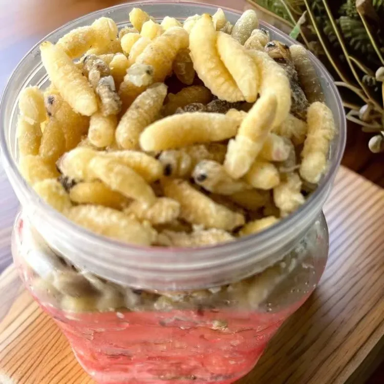 新鲜速冻马蜂蜂蛹12级树蜂蜂蛹