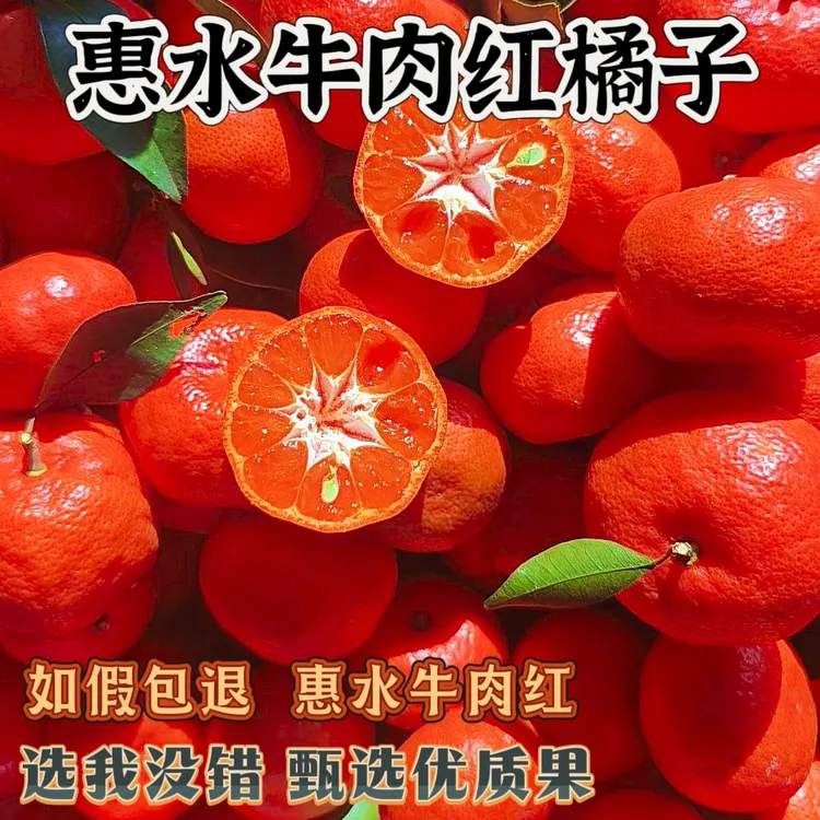 粉丝专享贵州必买惠水牛肉红橘子柑橘整箱酸甜砂糖橘同类新鲜时令水果现摘