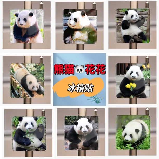 熊猫花花和花和叶冰箱贴可爱创意磁吸贴送朋友闺蜜礼物纪念品