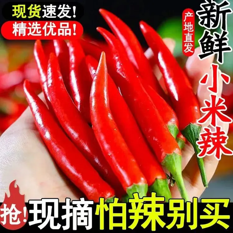 云南高山小米辣新鲜朝天椒鲜椒红辣椒指天椒泡椒红辣椒产地直发