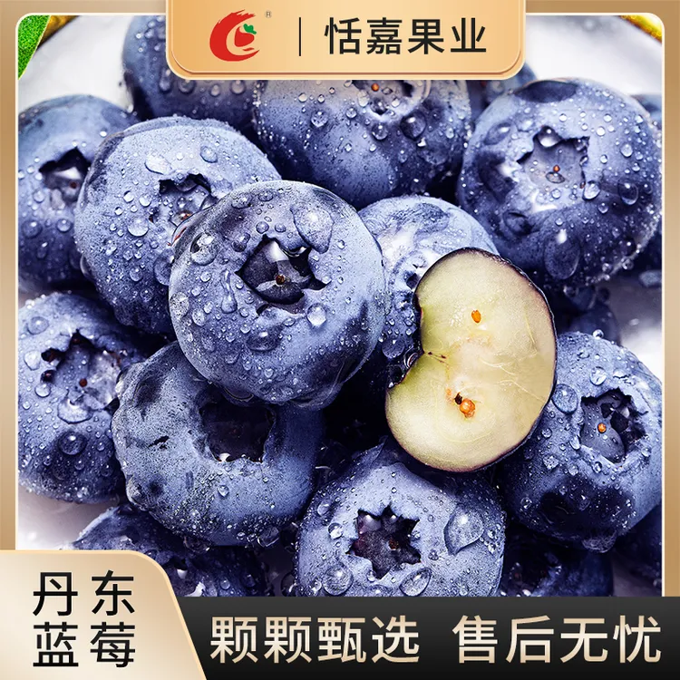 【顺丰包邮】丹东蓝莓4/6/8盒现摘现发头茬100g/盒脆甜爆汁新鲜
