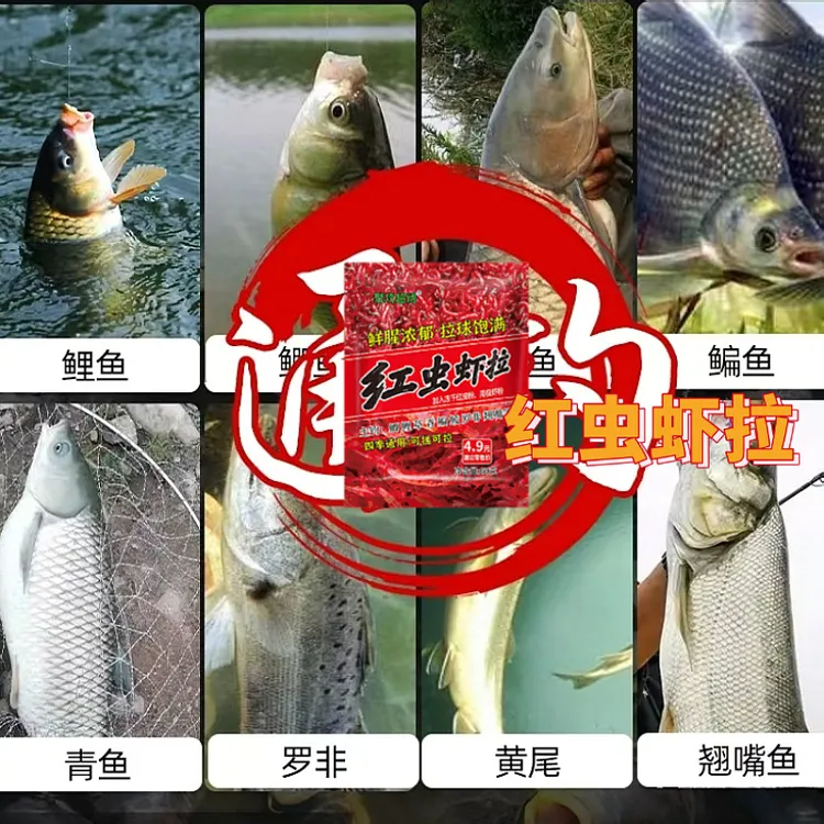 新品红虫虾拉鱼饵一包搞定通杀鲫鱼江河过江风鱼冬天瓦斯特鱼饵