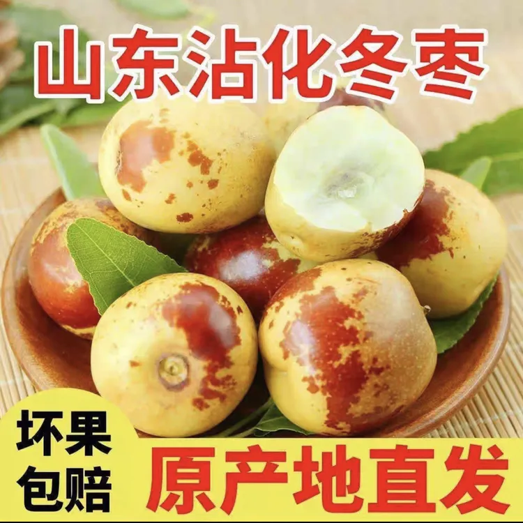 正宗山东沾化冬枣 5斤特级大果新鲜大枣枣子鲜枣枣子新鲜脆甜-L