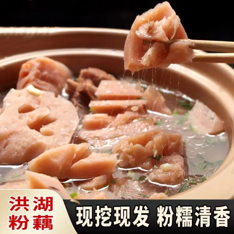 洪湖莲藕粉藕新鲜现挖湖北莲藕农家土特产煲汤藕炖汤藕粉糯香拉丝