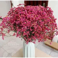 【水晶花】红水晶云南干花花束家居摆设小清新装饰鲜花真花ins