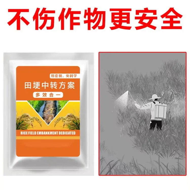 1田埂使用不影响农作物正常生长水稻喷雾有机质肥料