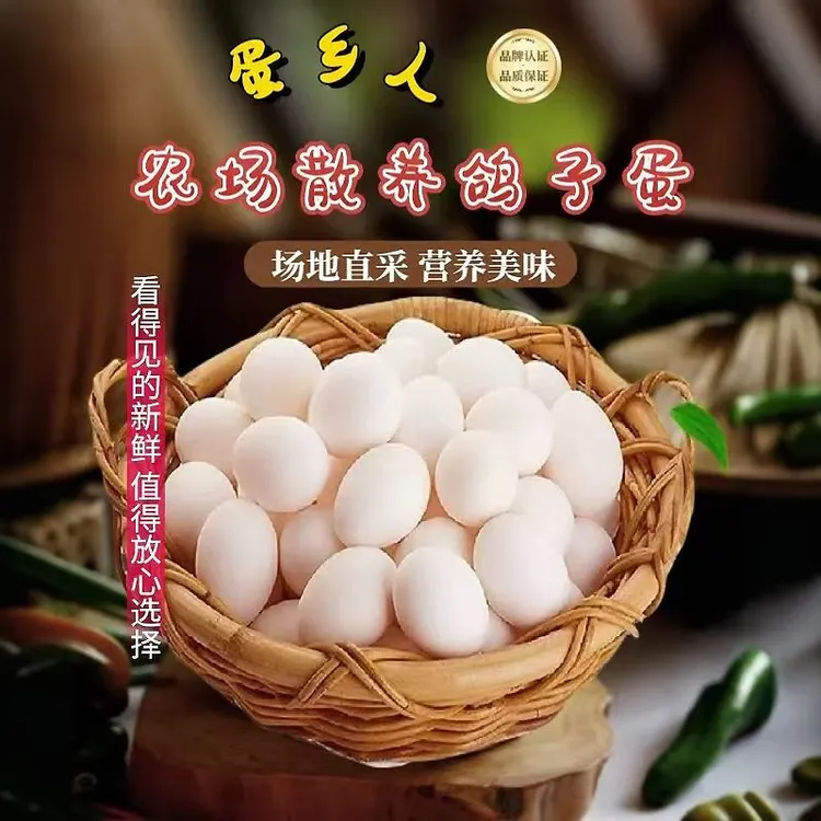 蛋乡人【顺丰京东快递】鸽子蛋高品质散养鸽农家鸽子蛋天然五谷杂粮
