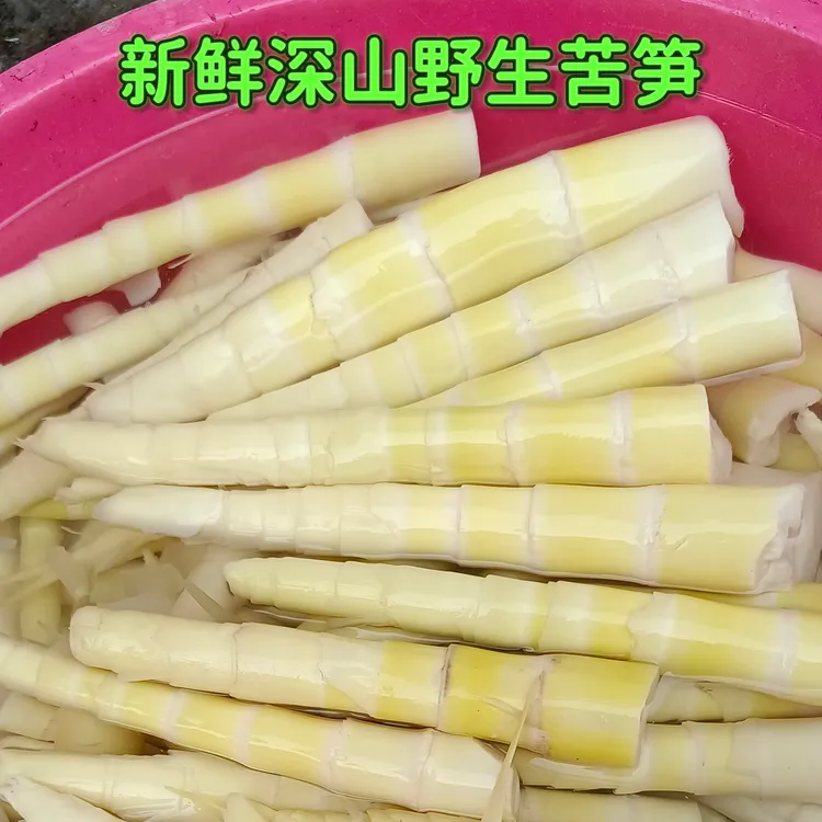 江西赣南深山苦笋新鲜现挖火锅食材爆炒凉拌竹笋